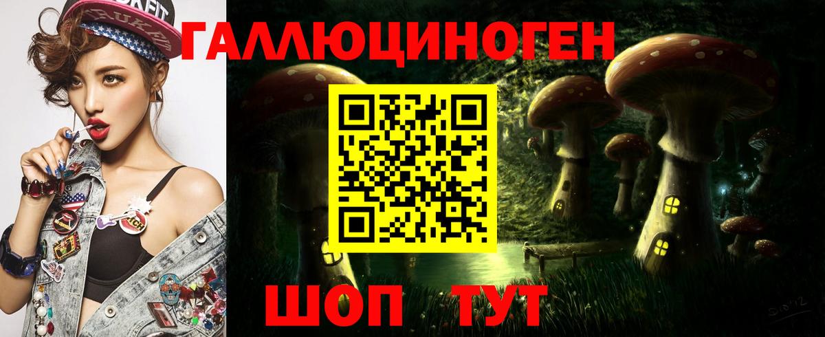 где купить наркоту  Галлюциногенные грибы Cubensis  Вход с VPN  Зеленокумск 