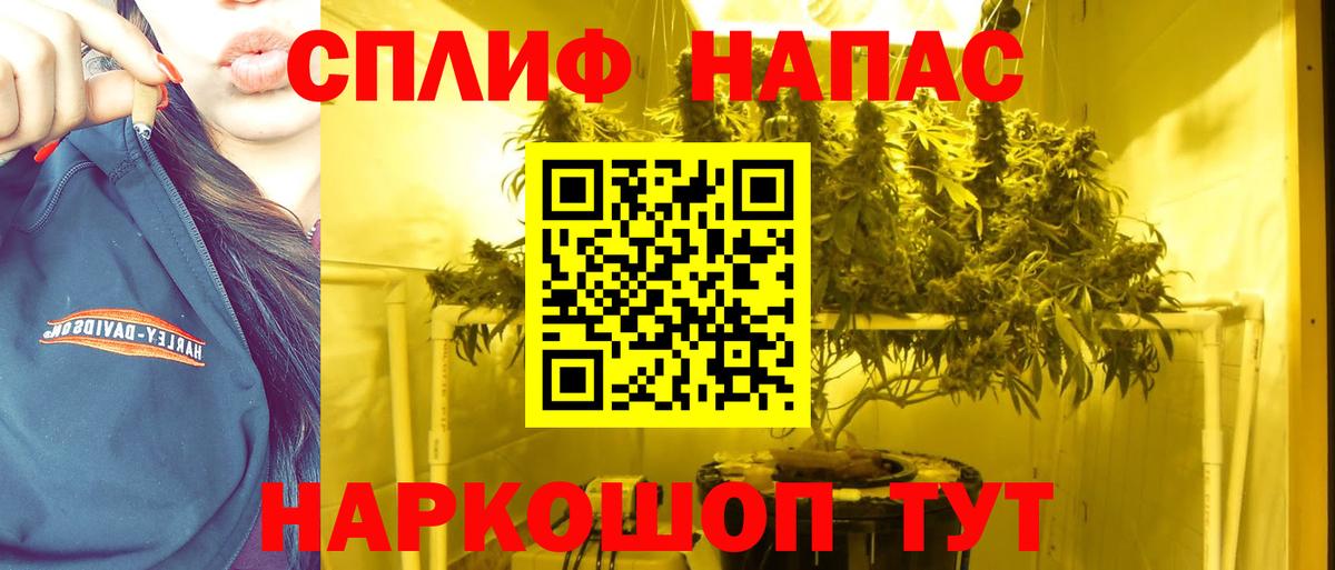 Бошки Шишки сатива  Каннабис SATIVA & INDICA  Вход с VPN  Зеленокумск  Каннабис тримм  Каннабис индика 